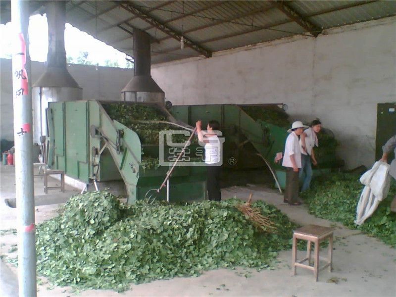 Hg special dryer for ginkgo leaves