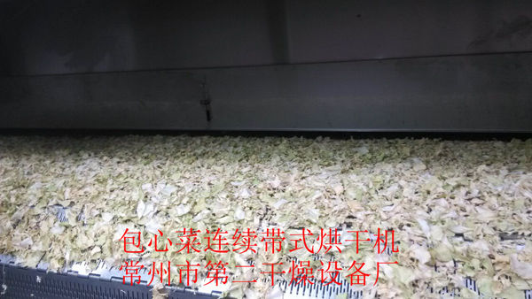 DWD belt dehydrated vegetable dryer