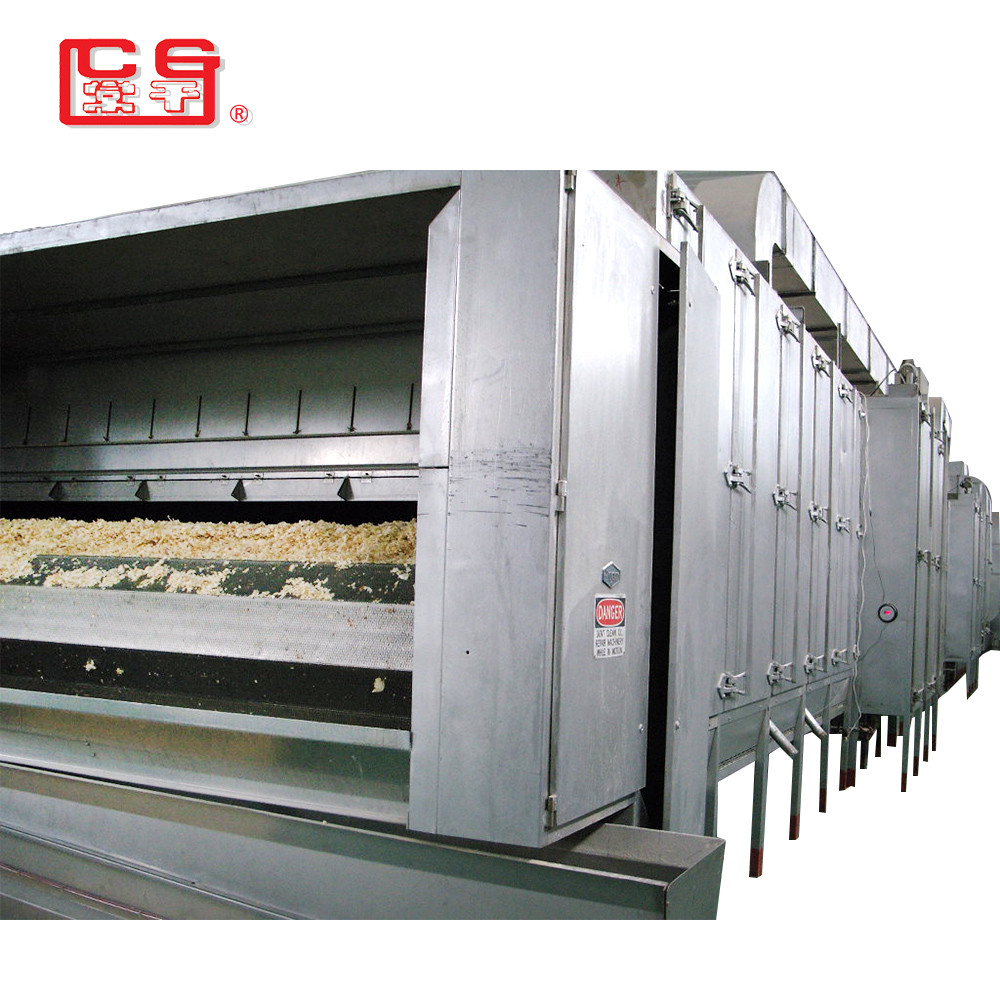 DWD belt dehydrated vegetable dryer