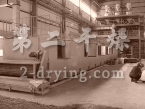 Special belt dryer for catalyst